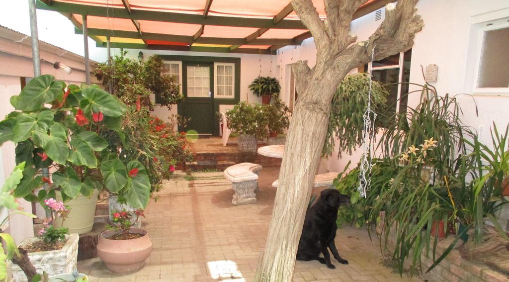 Van Rhyn Guest House Vanrhynsdorp 外观 照片